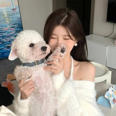 拉洛罗纳传奇